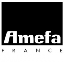 Fourchette à escargot 18/10 de 3mm finition miroir - Lot de 6 - Florence -  Amefa